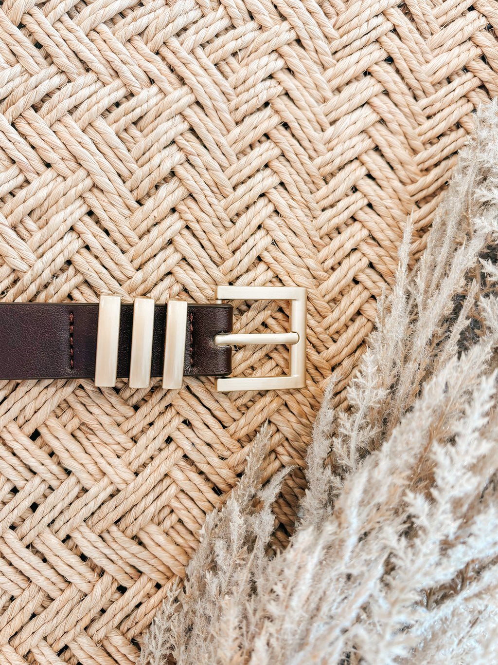 Elaine Belt