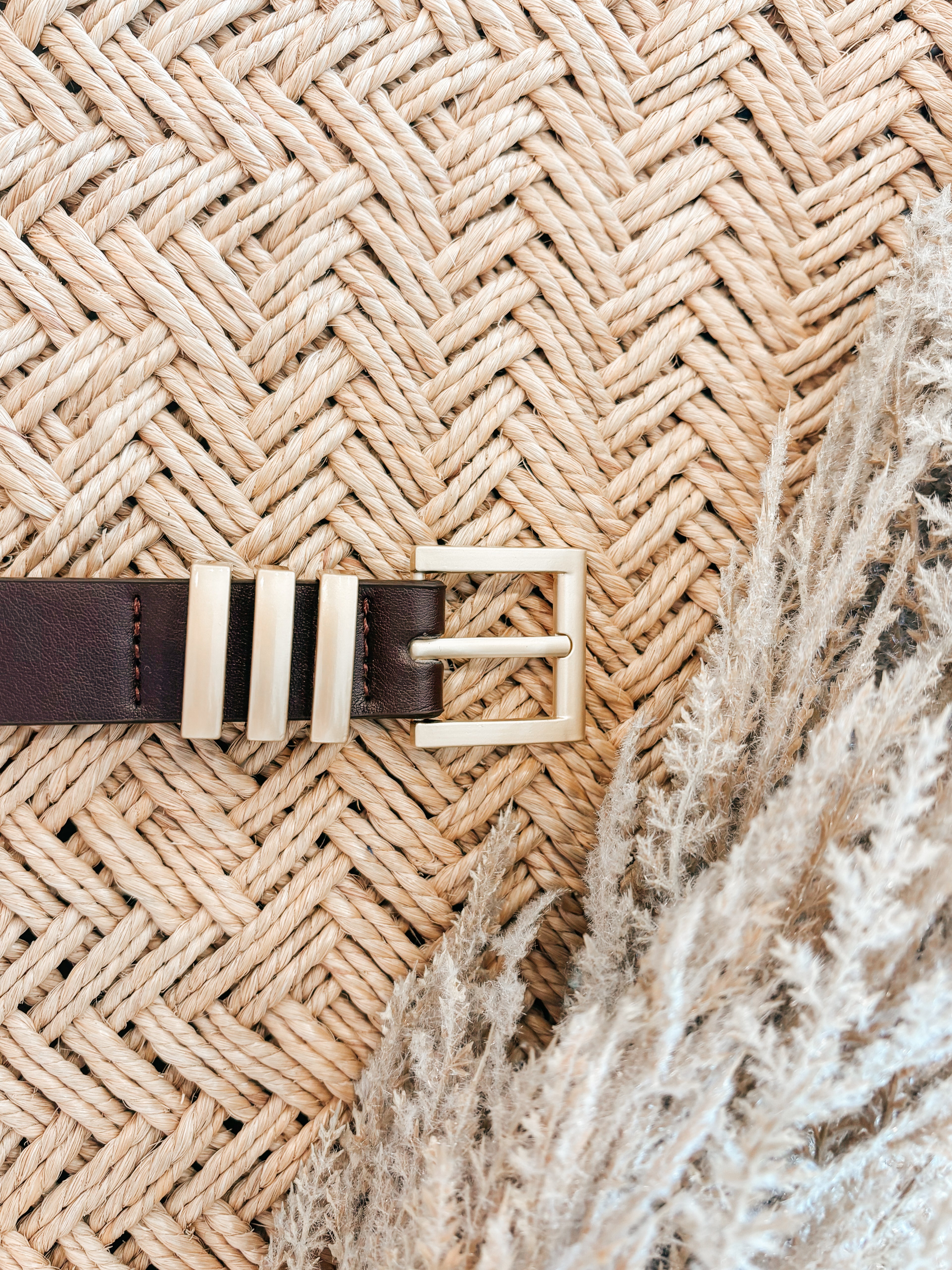 Elaine Belt