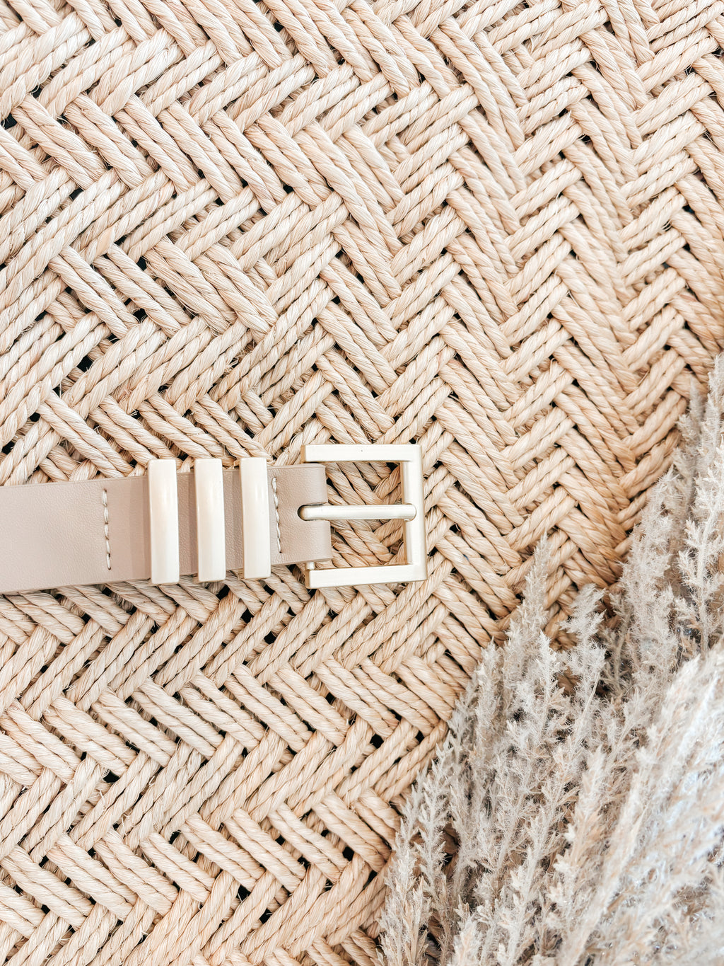 Elaine Belt