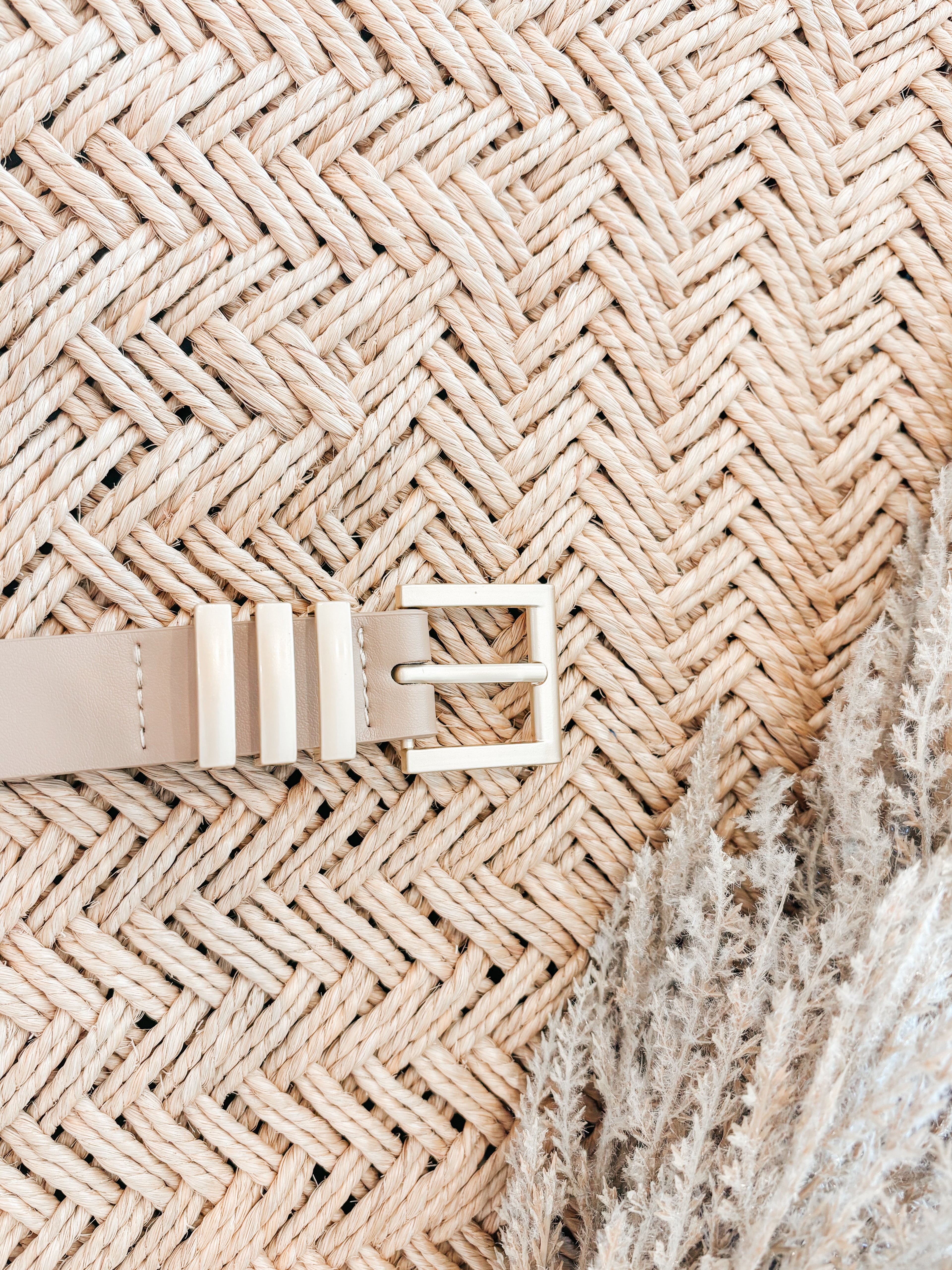 Elaine Belt