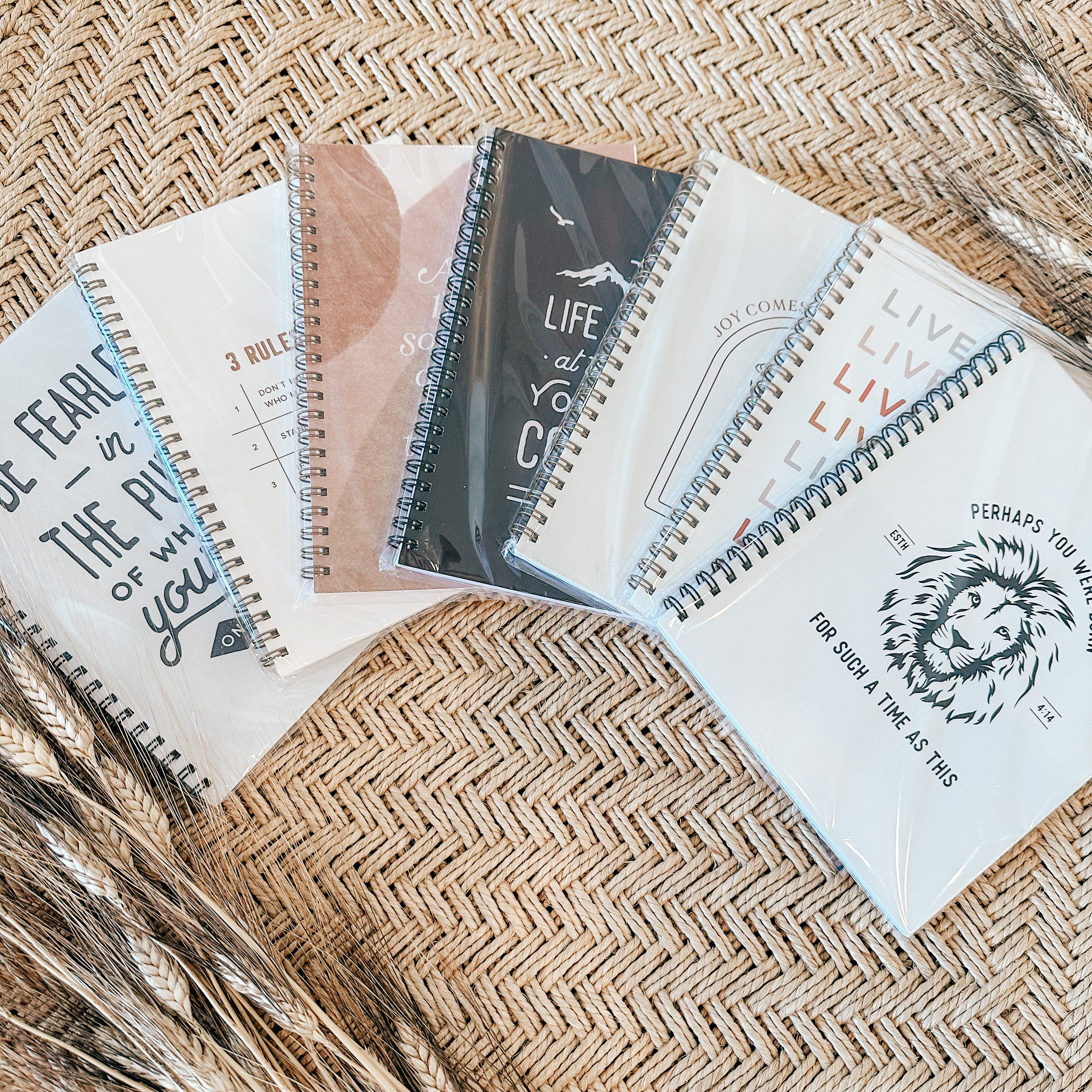 Anastasia Notebooks