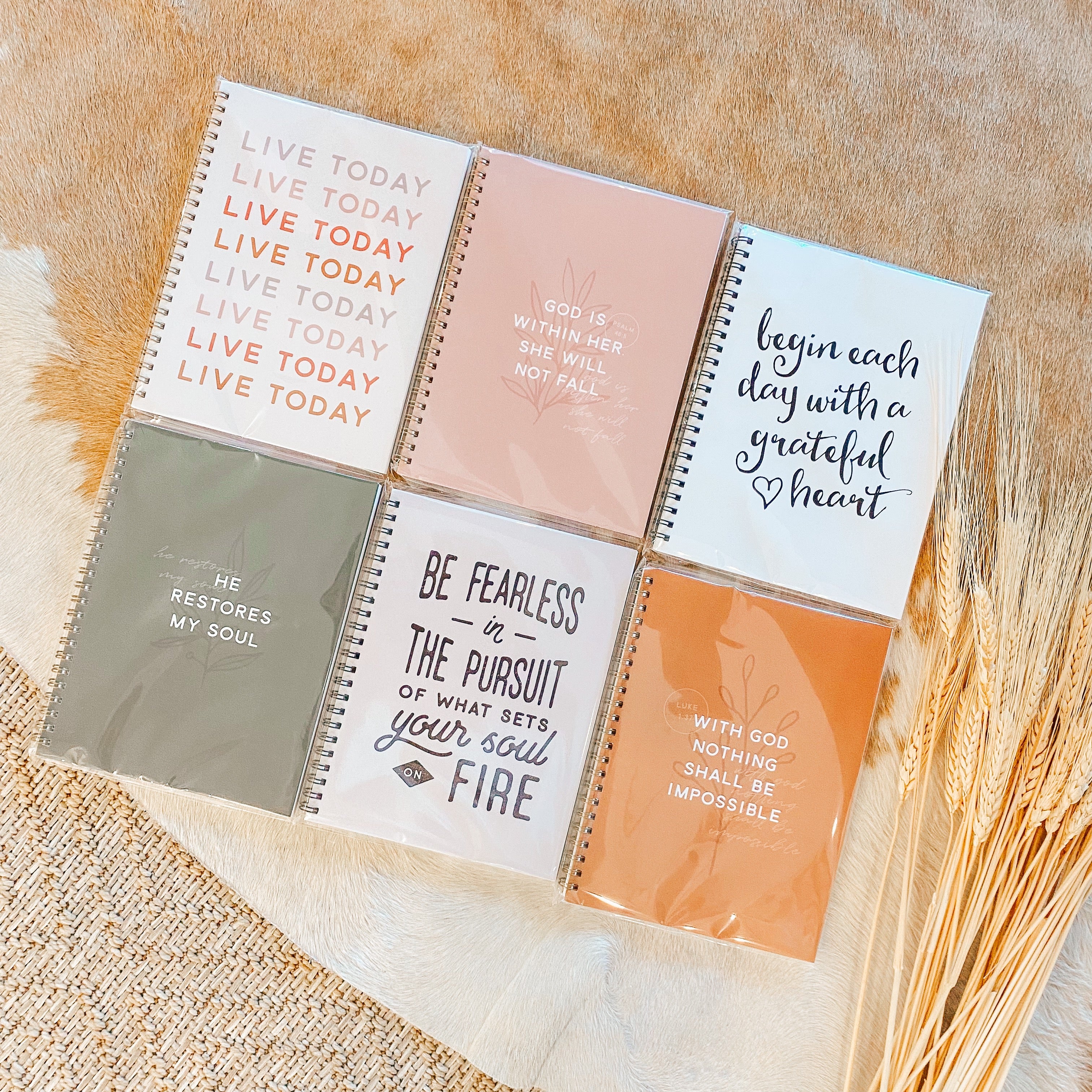 Anastasia Notebooks