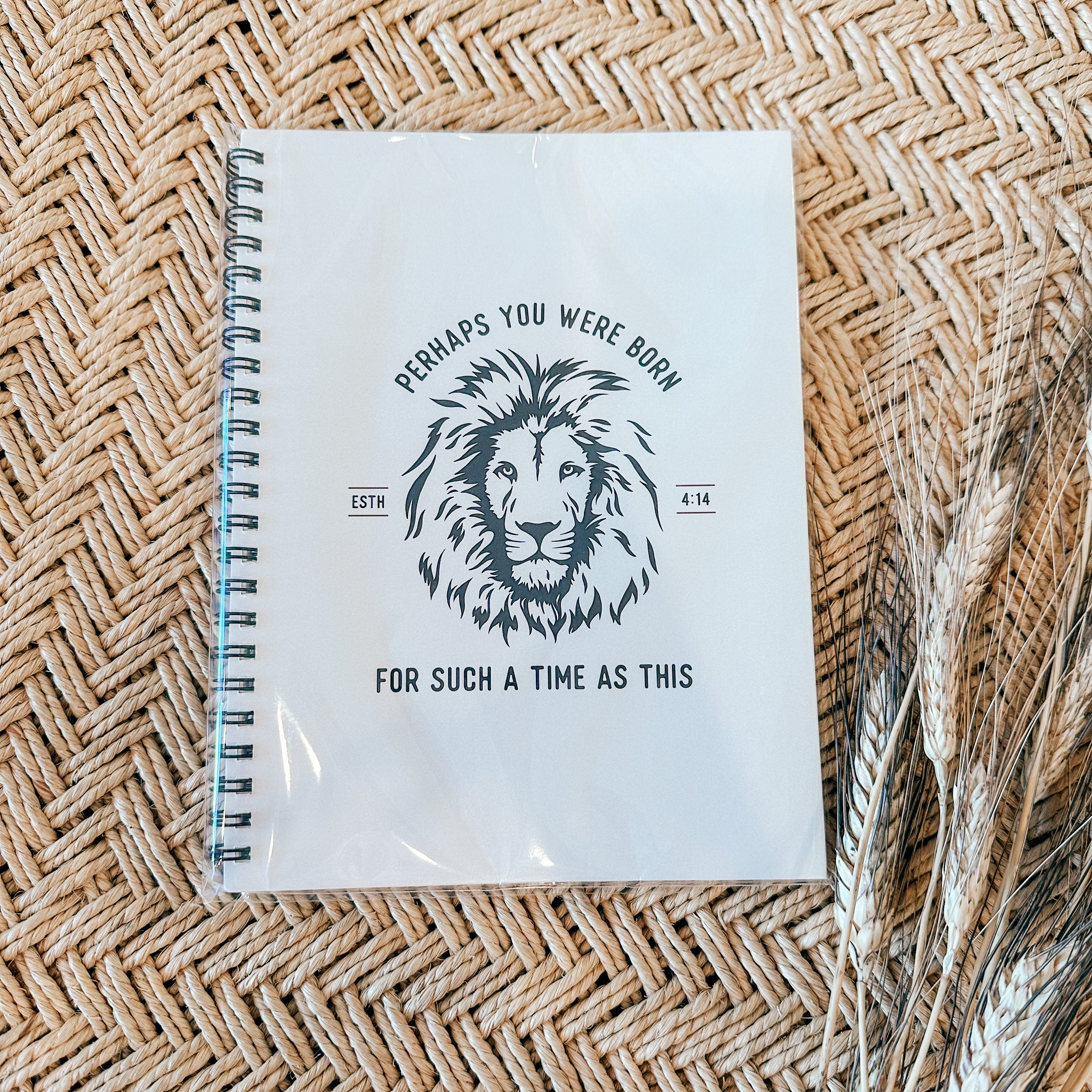 Anastasia Notebooks